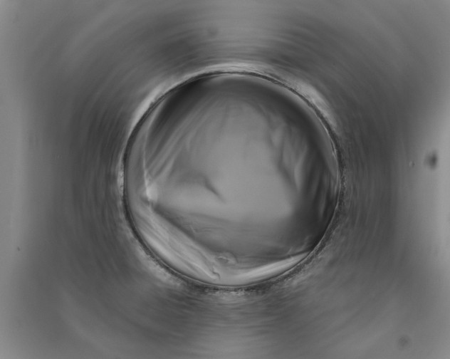 X0000090861428200708171556