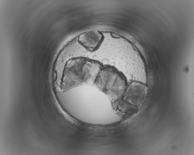 X0000090861429200708171556