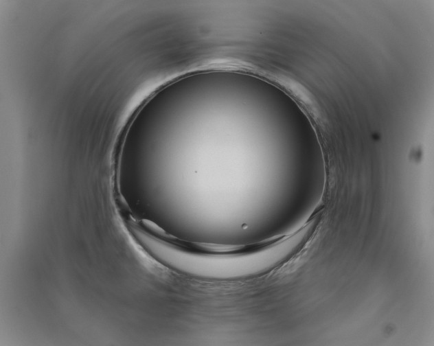 X0000090861430200708171556