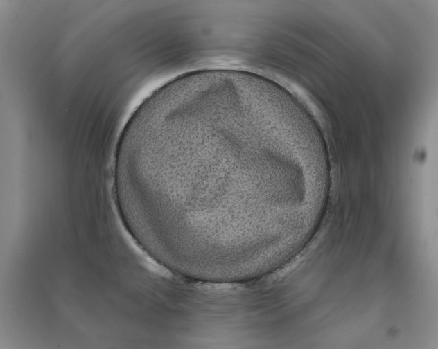 X0000090861432200708171556