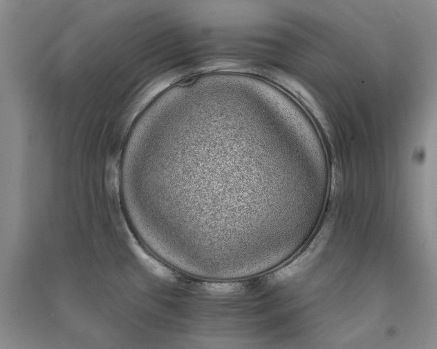 X0000090861433200708171556