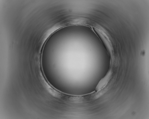 X0000090861434200708171556