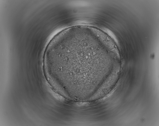 X0000090861435200708171556