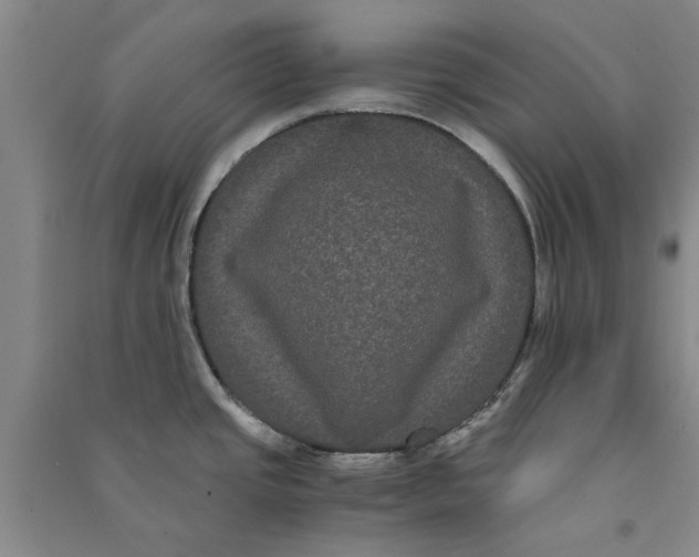 X0000090861437200708171556