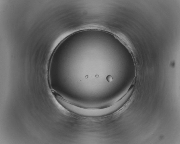 X0000090861438200708171556