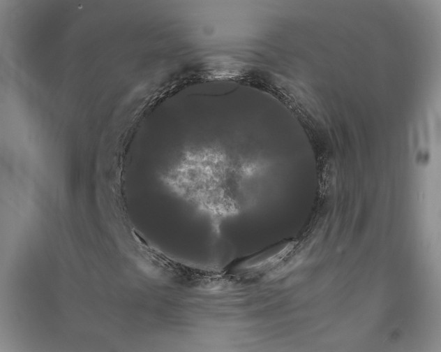 X0000090861441200708171556