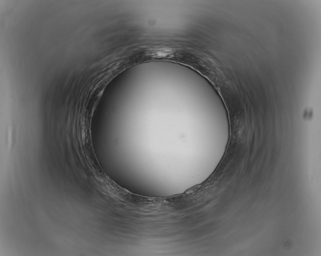 X0000090861442200708171556