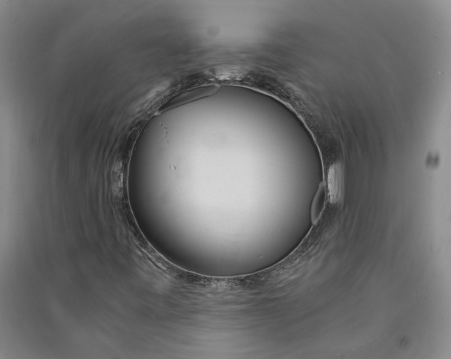 X0000090861443200708171556