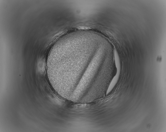 X0000090861444200708171556
