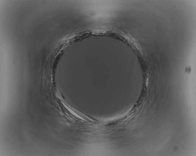 X0000090861445200708171556