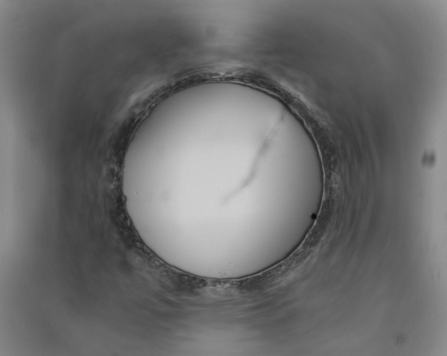 X0000090861447200708171556