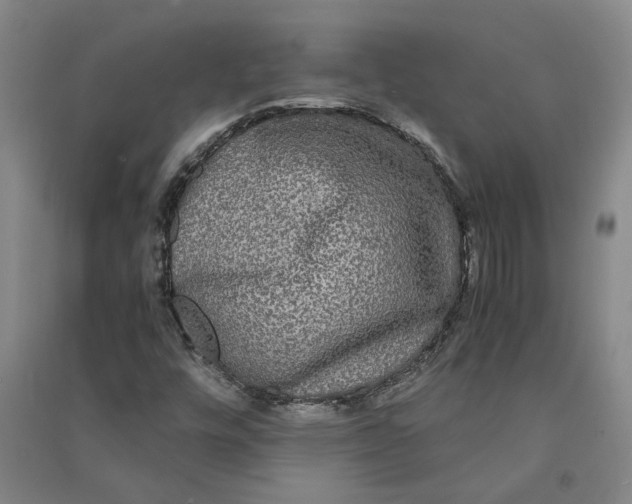 X0000090861448200708171556