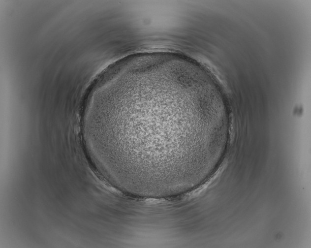 X0000090861449200708171556