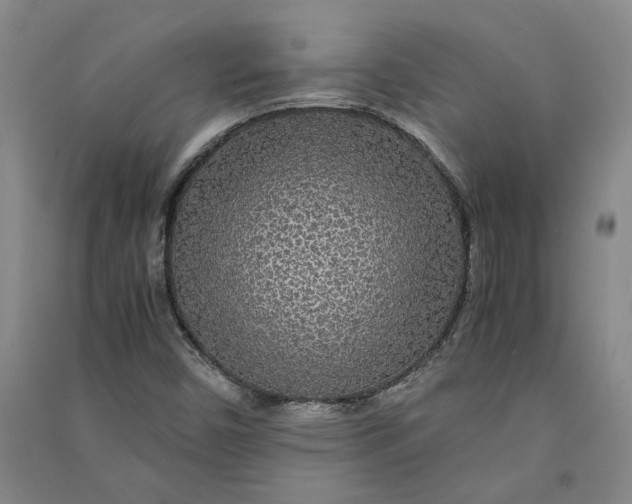 X0000090861450200708171556
