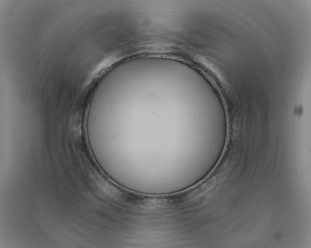 X0000090861451200708171556