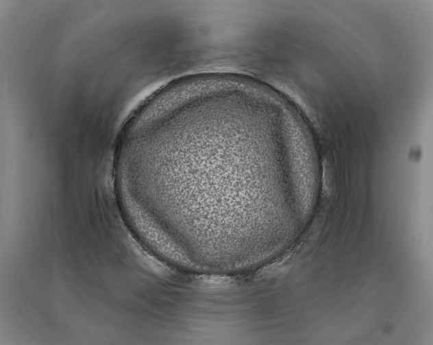 X0000090861452200708171556