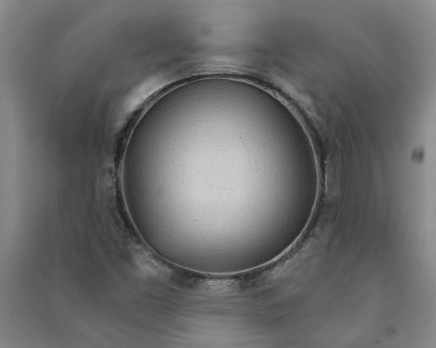 X0000090861453200708171556