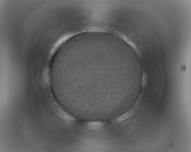 X0000090861454200708171556