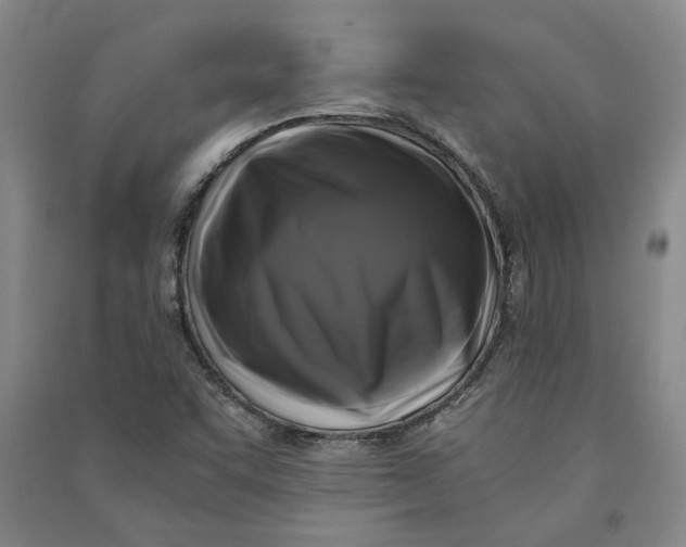 X0000090861455200708171555