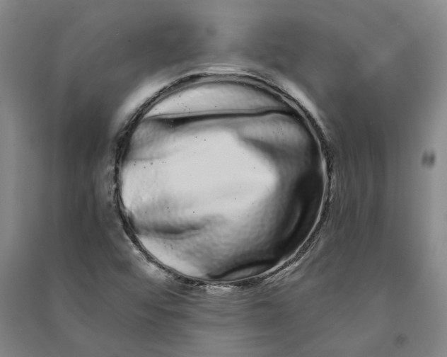 X0000090861456200708171555