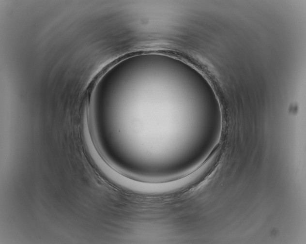 X0000090861457200708171555