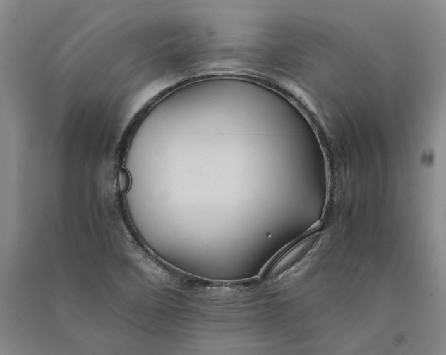 X0000090861458200708171555