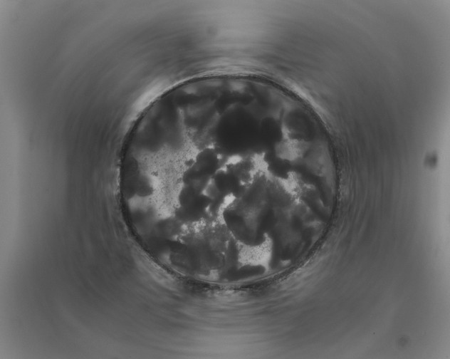 X0000090861459200708171555