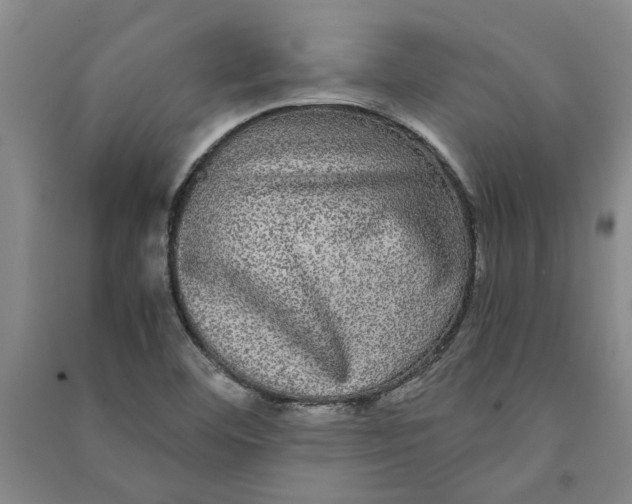 X0000090861460200708171555