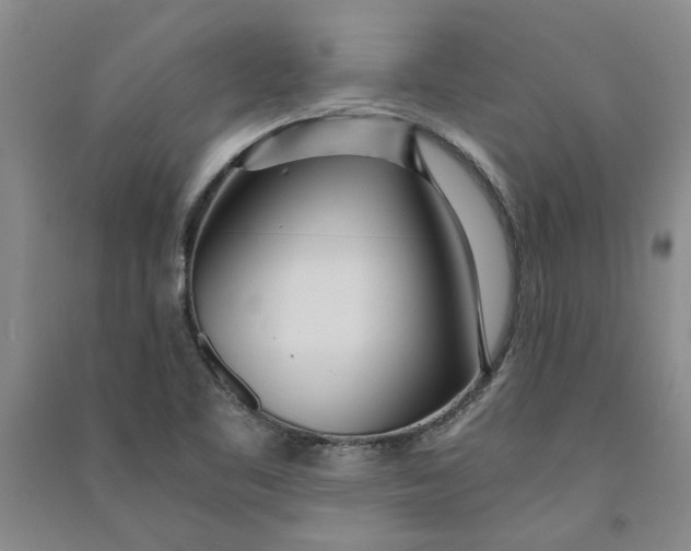X0000090861461200708171555