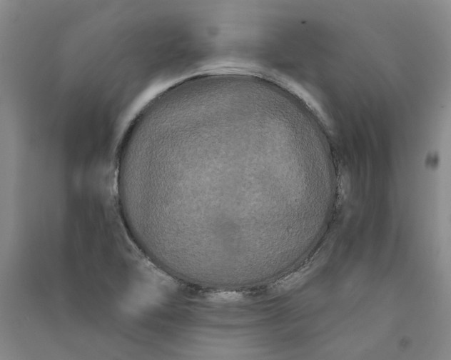 X0000090861462200708171555