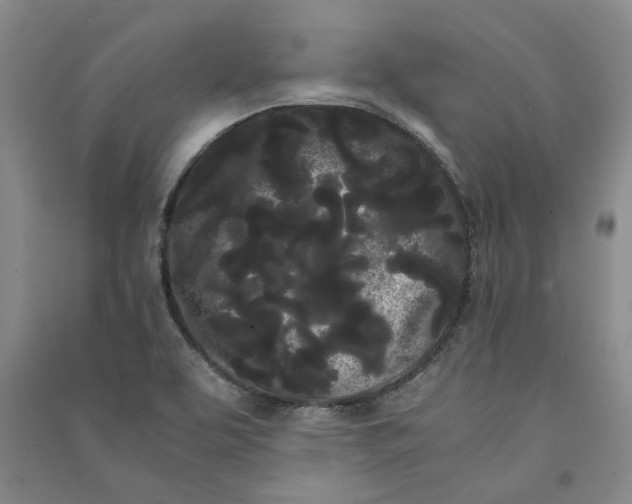 X0000090861463200708171555
