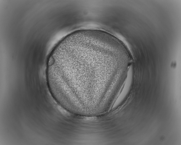 X0000090861464200708171555