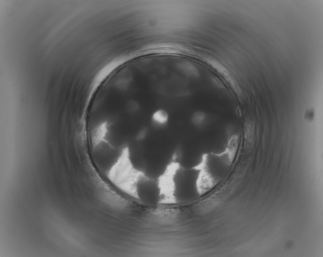 X0000090861466200708171555