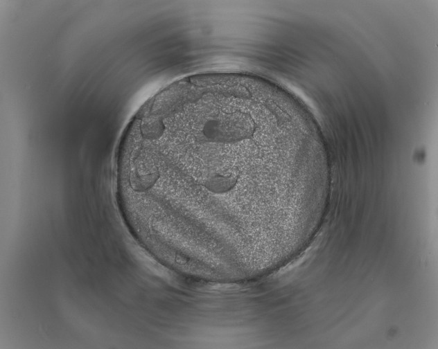 X0000090861467200708171555