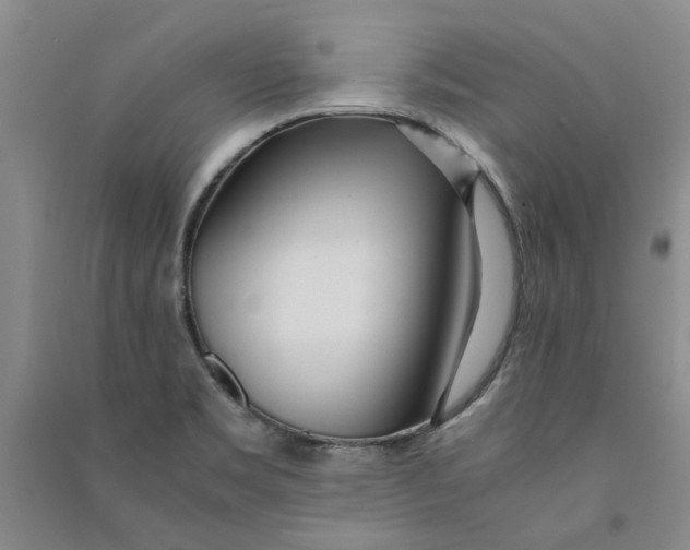X0000090861469200708171555