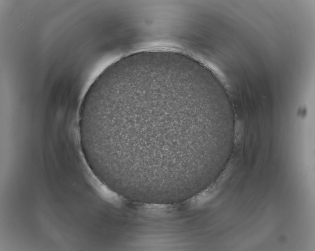 X0000090861470200708171555
