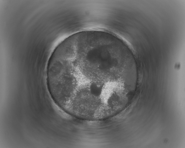 X0000090861471200708171555