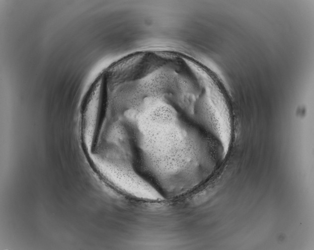 X0000090861472200708171555
