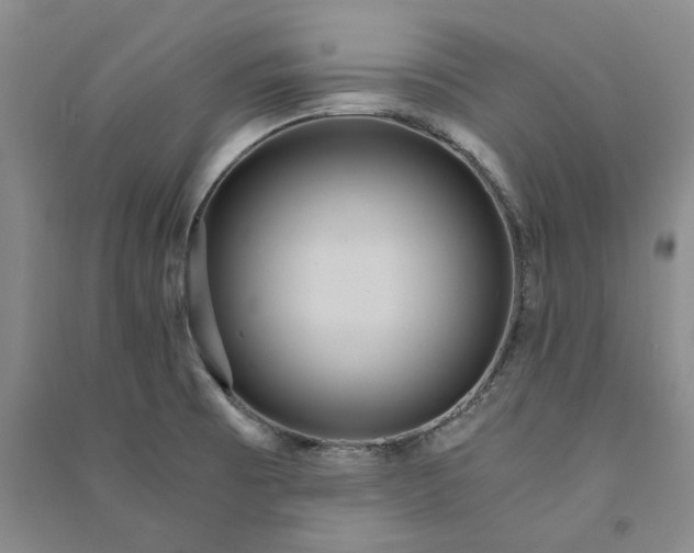 X0000090861473200708171555