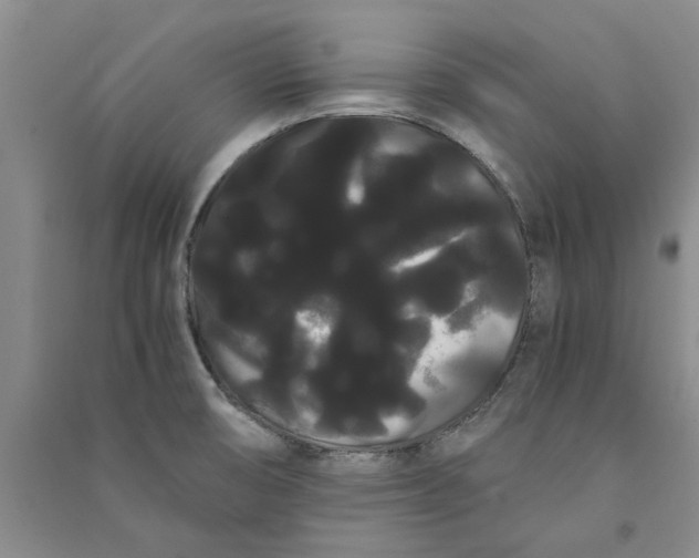 X0000090861474200708171555