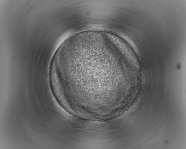 X0000090861475200708171555