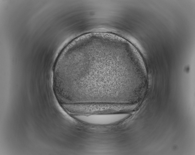 X0000090861476200708171555