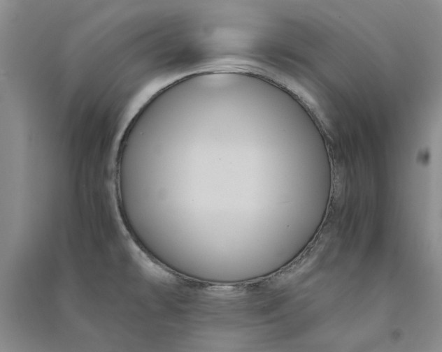 X0000090861478200708171555