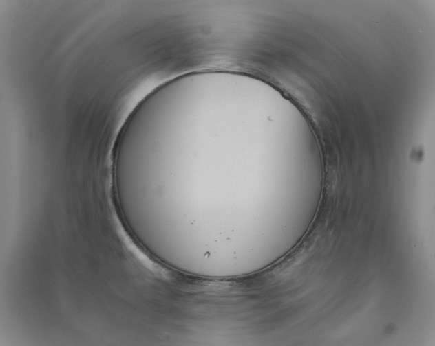 X0000090861479200708171555