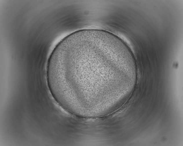 X0000090861480200708171555