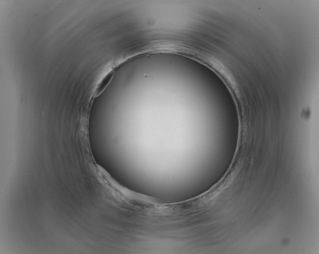 X0000090861481200708171555