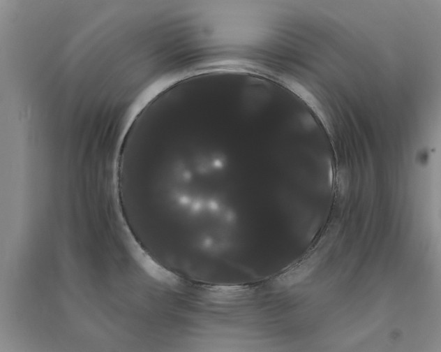 X0000090861482200708171555