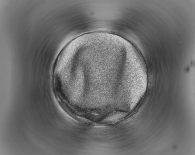 X0000090861483200708171555