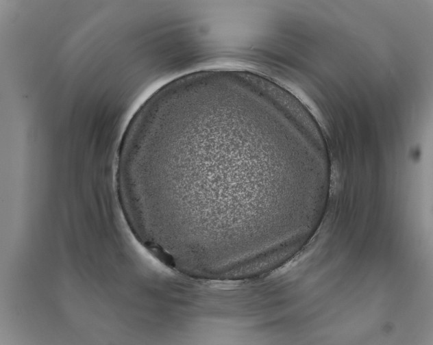 X0000090861484200708171555