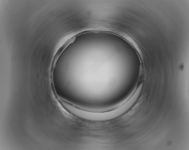 X0000090861485200708171555